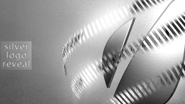Silver Logo Reveal