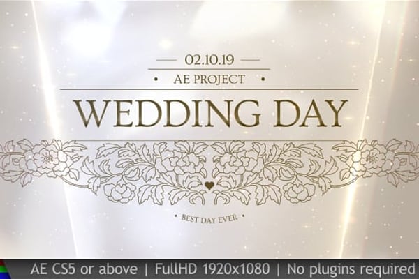 Wedding Pack