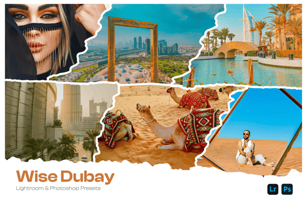 Wise Dubay Lightroom Presets