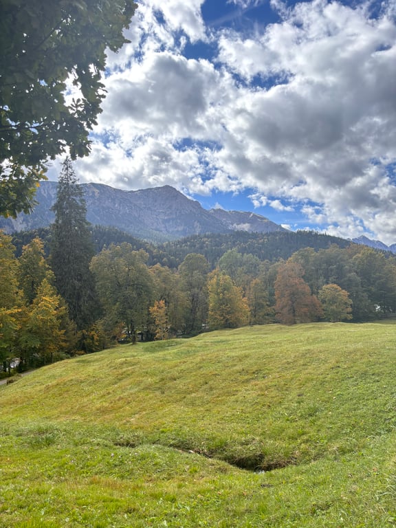 Bavaria photo 2