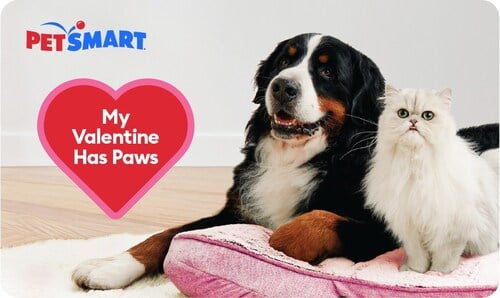 PetSmart Unleashes the Love with Free Valentine's Day Party Nationwide