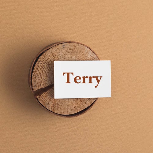 National Terry Day