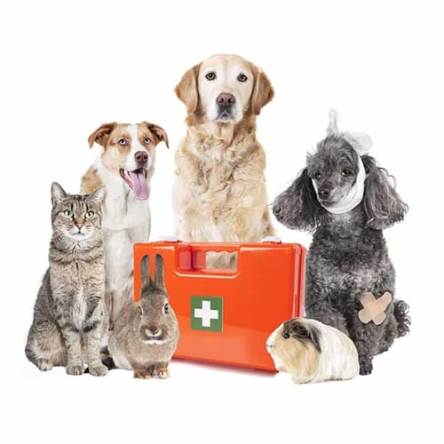 National Animal Disaster Preparedness Day