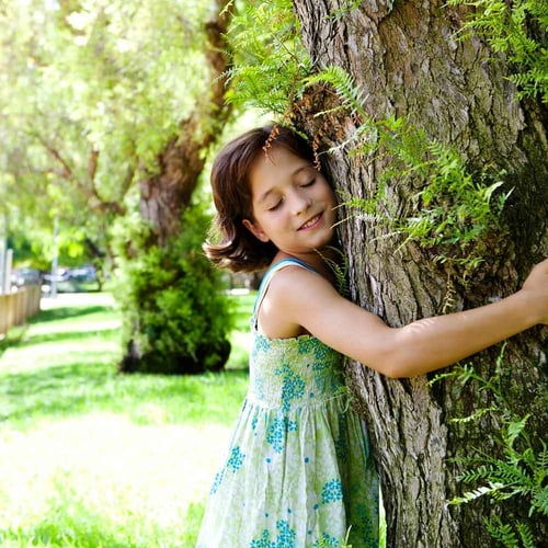 National Love a Tree Day