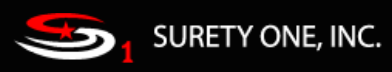 Surety One, Inc.