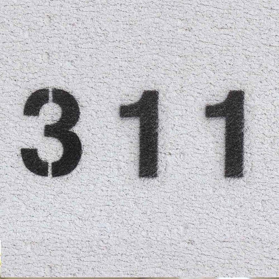 311 Day