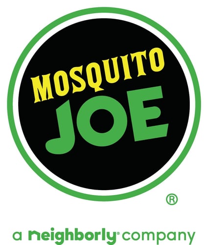 Mosquito Joe