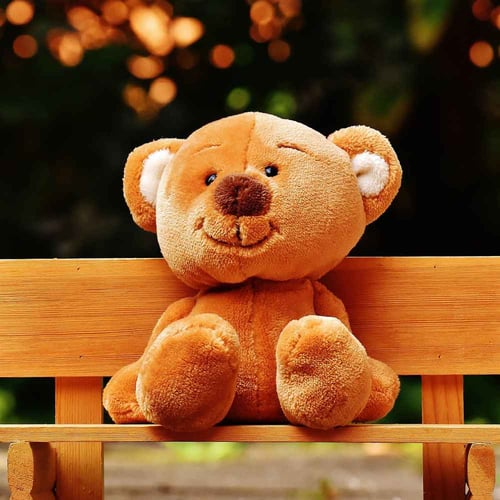 National American Teddy Bear Day November 14