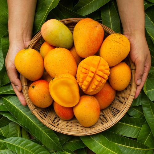 Mango Month