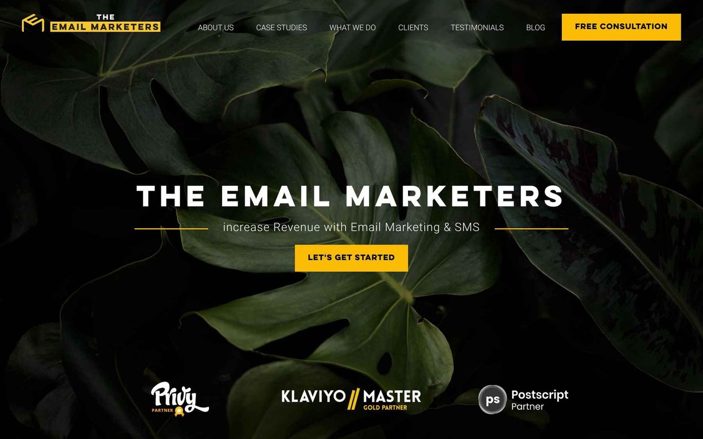 The Email Marketers