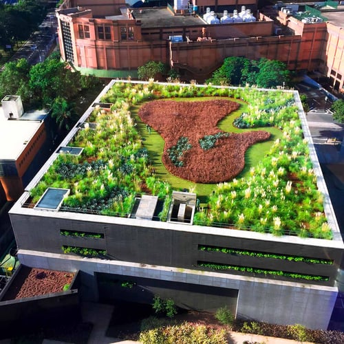 World Green Roof Day
