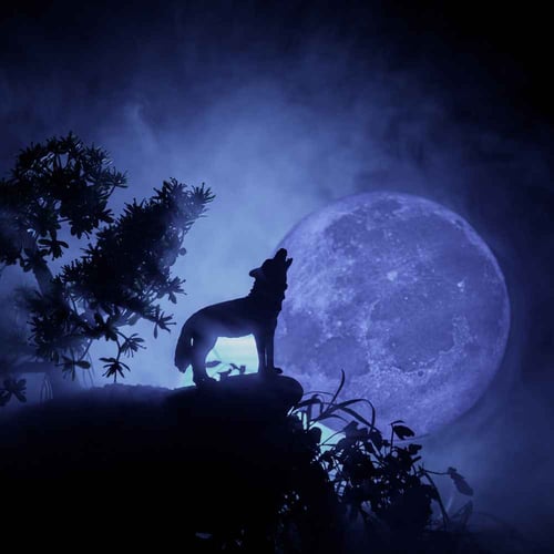 Worldwide Howl at the Moon Night