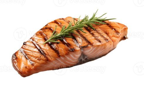 Salmon
