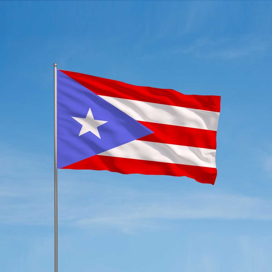 Emancipation Day (Puerto Rico)