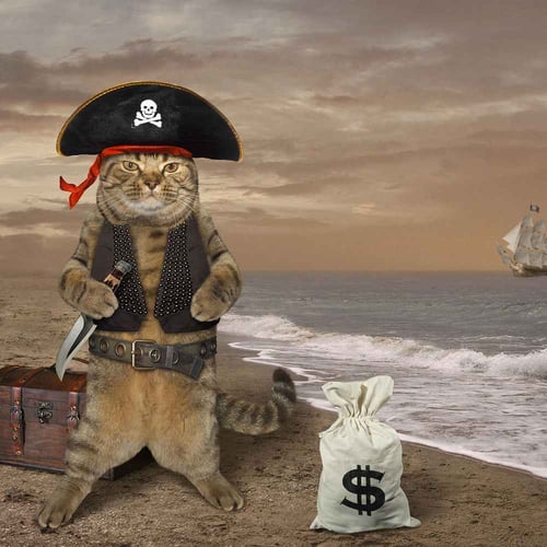 National Meow Like a Pirate Day