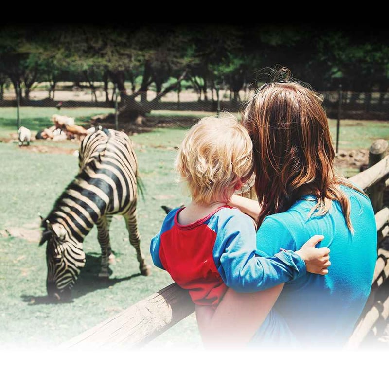 National Zoo Awareness Day