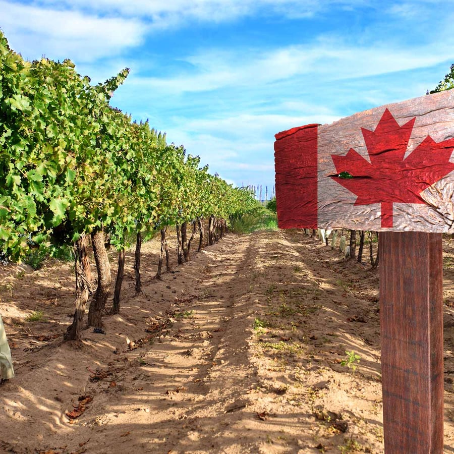 Canada’s Agriculture Day