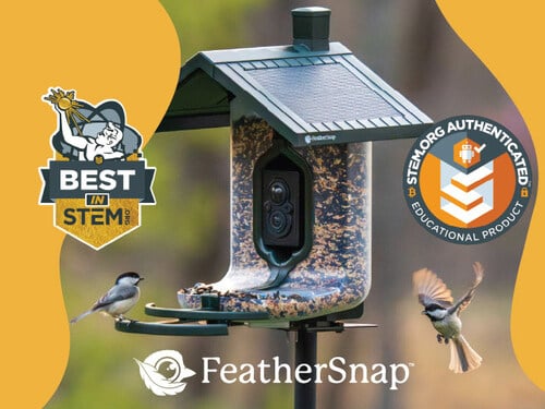 FeatherSnap Uses AI to Inspire Nature Lovers this National STEM Day