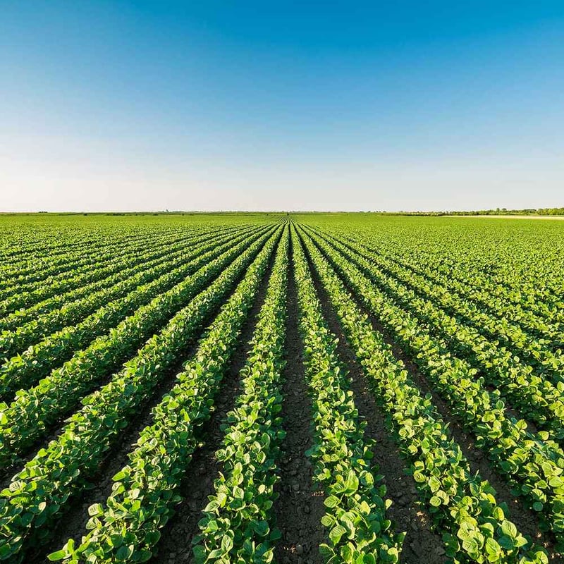 International Day of Plant Health 2024