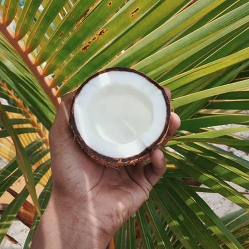 National Coconut Week