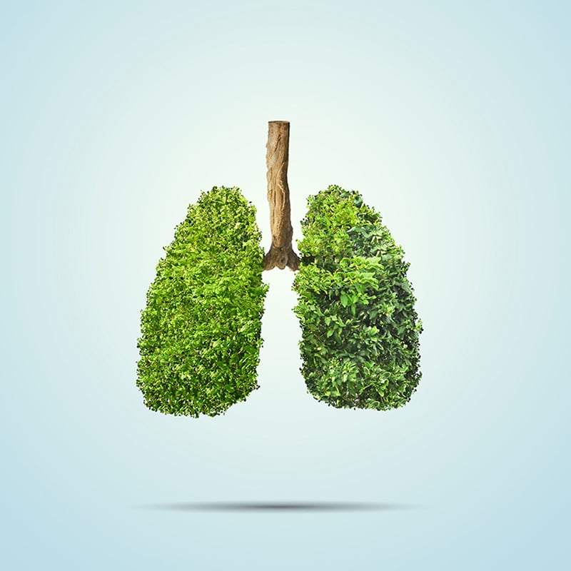Healthy Lung Month