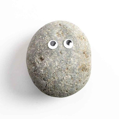National Pet Rock Day