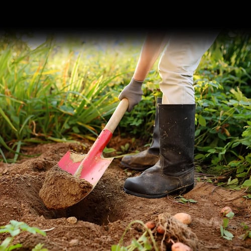 National Safe Digging Month