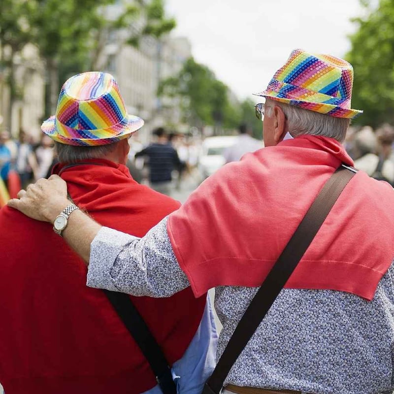National Honor Our LGBT Elders Day