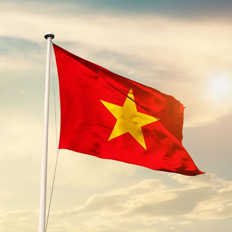 Vietnam Revolution Commemoration Day