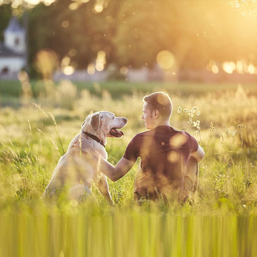 National Dog Parent Appreciation Day
