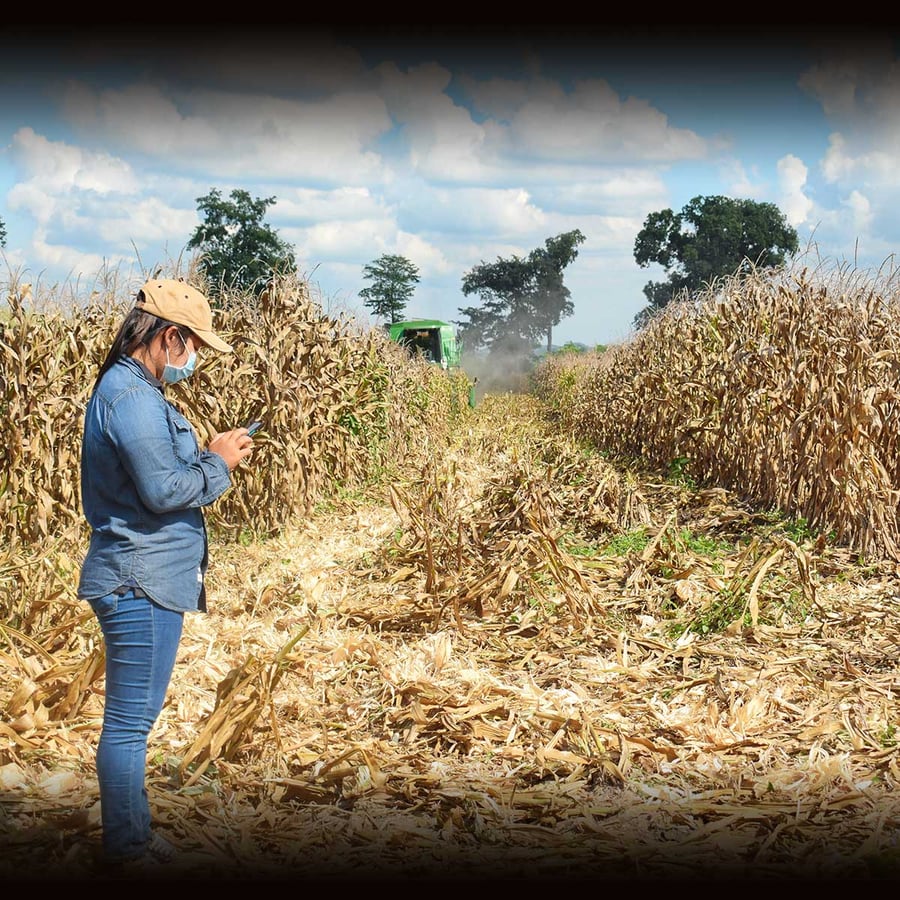 Women in Blue Jeans Days