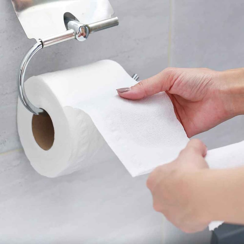 National Toilet Paper Day