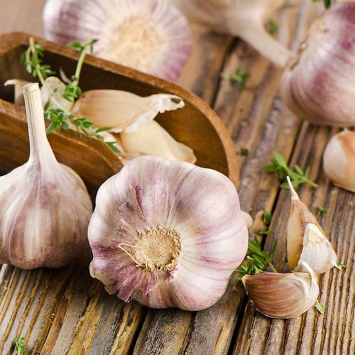 National Garlic Day