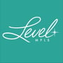 Level Minneapolis
