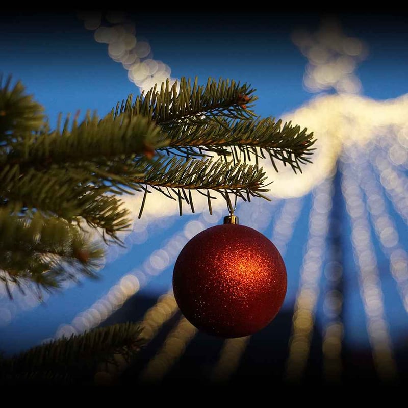 Orthodox Christmas Day 2024