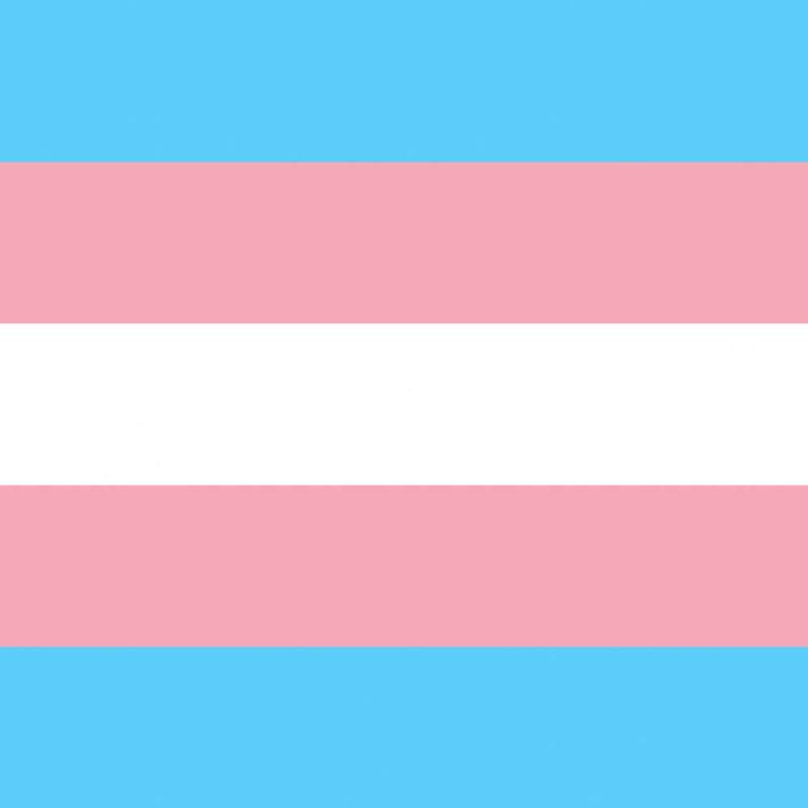 International Trans Visibility Day