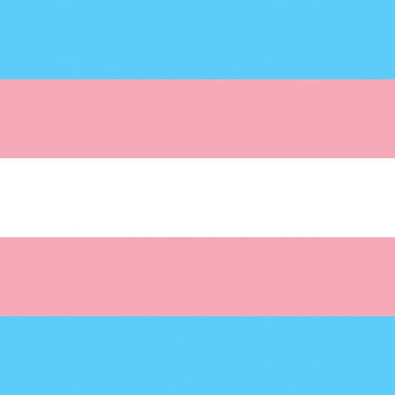 International Trans Visibility Day