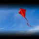 International Kite Day