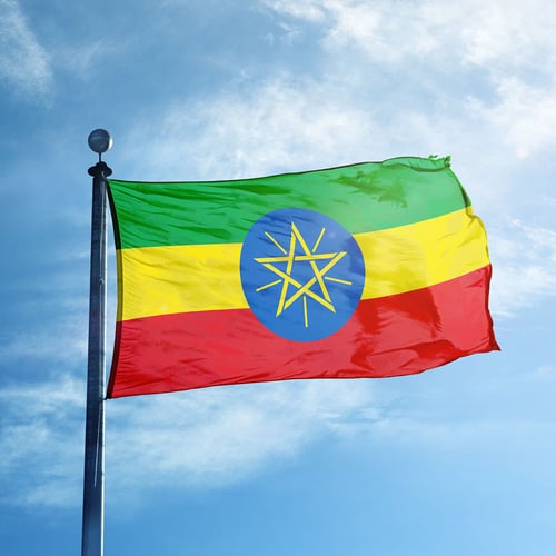 National Day of Ethiopia