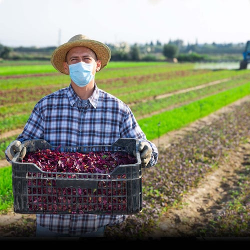 Farmworker Appreciation Day