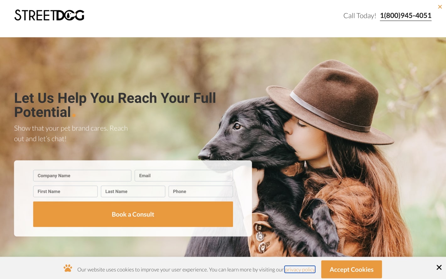 StreetDog Marketing Homepage