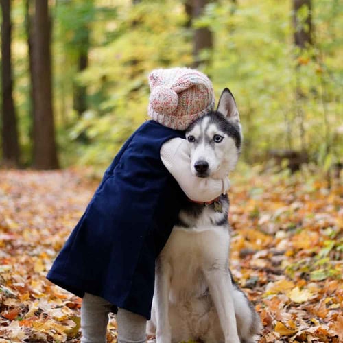 National Hug Your Dog Day