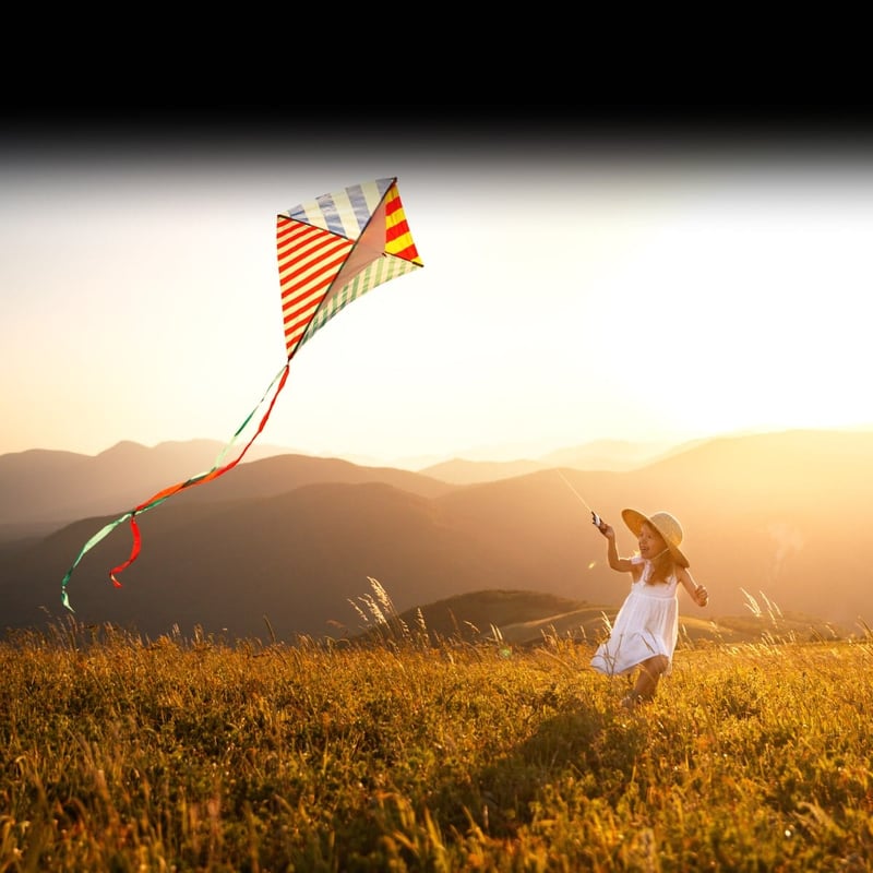 National Kite Month 2024
