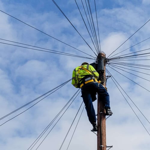 Telegraph Pole Appreciation Day