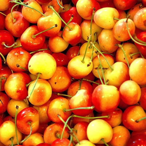 National Rainier Cherry Day