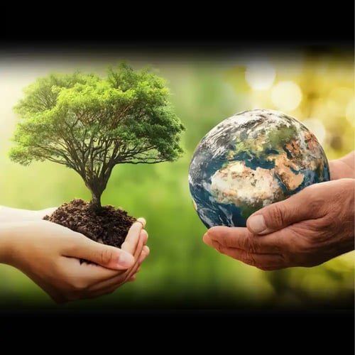 International Mother Earth Day