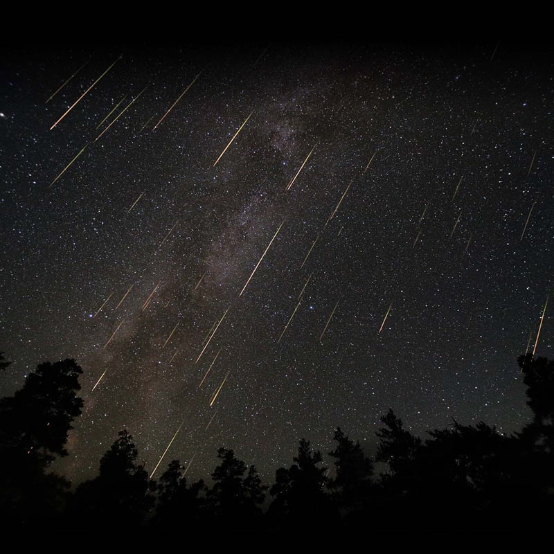 Annual Perseid Meteor Shower Peak Night
