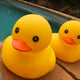 National Rubber Ducky Day