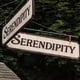 Serendipity Day