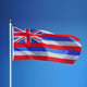 Hawaii Flag day